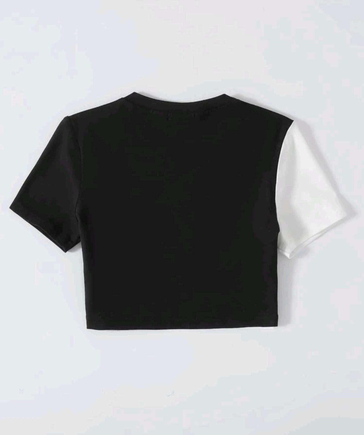 Top Waves Zebre