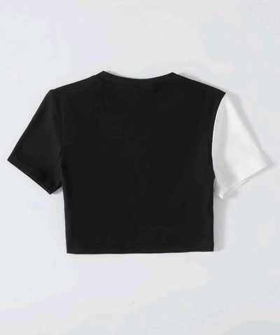 Top Waves Zebre